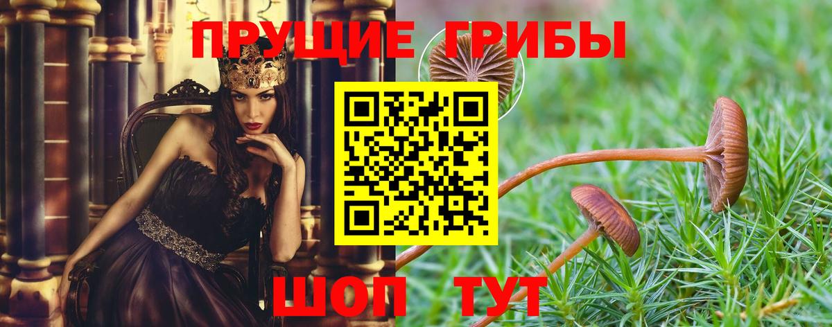 Галлюциногенные грибы MAGIC MUSHROOMS  Вход с VPN  Краснознаменск 